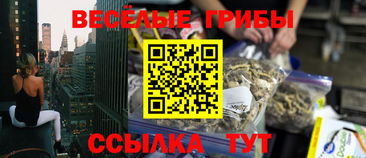 Ишим  Псилоцибиновые грибы мухоморы  Вход с VPN  Галлюциногенные грибы Cubensis 